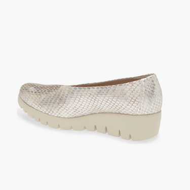 Wedge Skimmer