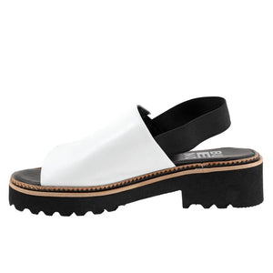 Amy Sandal