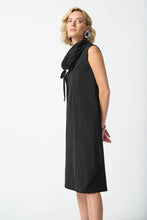 Load image into Gallery viewer, Cowl Neck Dress

