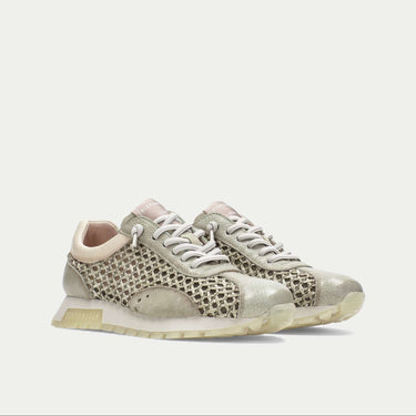 Oregon Sneaker