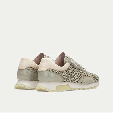 Oregon Sneaker