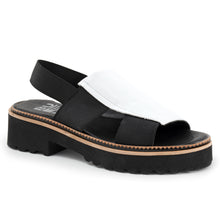 Load image into Gallery viewer, Amy Sandal
